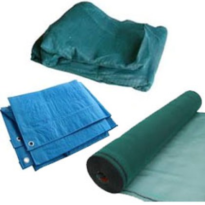 elaiopana-skiasi copy